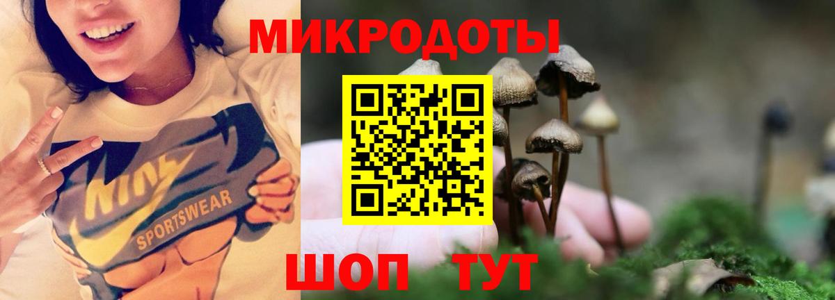 Галлюциногенные грибы мухоморы  Вход с VPN  Можга 